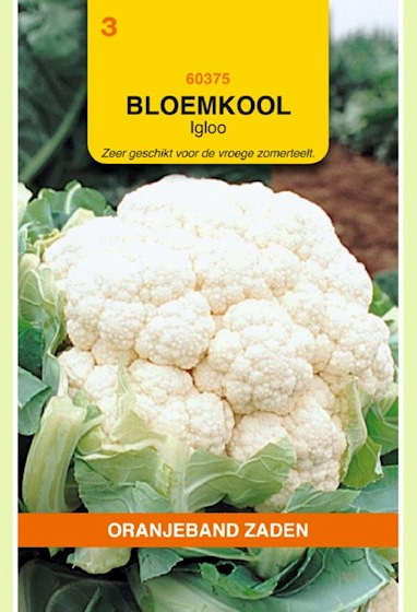 Bloemkool Igloo (Brassica) 300 zaden OBZ